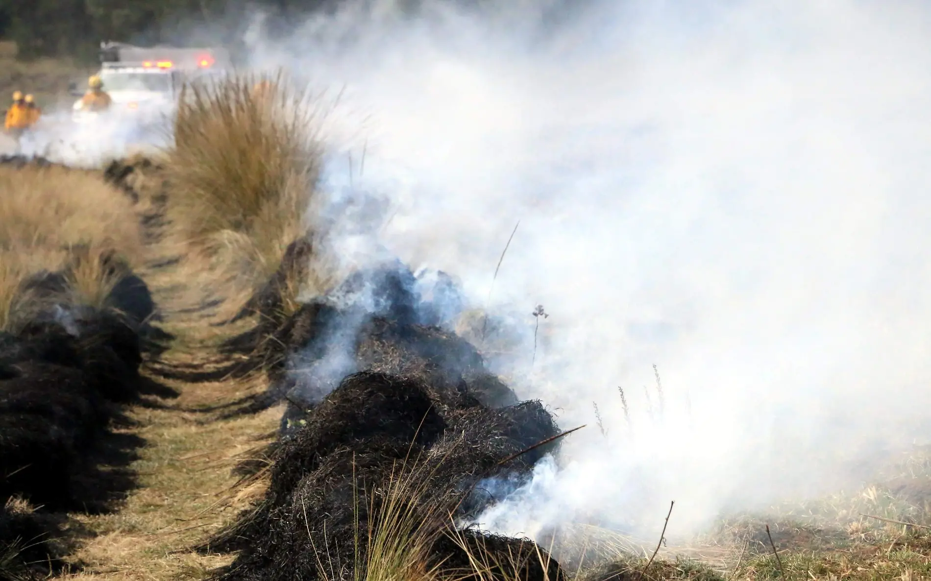 david incendios forestales 2022 las vigas8728